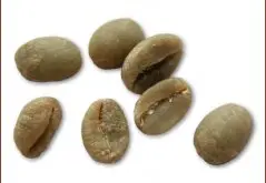 精品豆推荐 摩卡咖啡豆图片（Mocha)