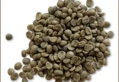 中国精品咖啡豆推荐 云南小粒种咖啡生豆图片(Arabica)