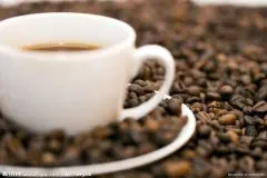 云南小粒种咖啡特点 小粒种为Coffea arabica L