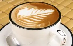 精品咖啡豆的基础常识  公豆母豆典故