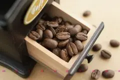 咖啡渣与咖啡绿植创意 咖啡的循环利用