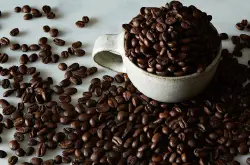 咖啡豆大部分的芳香物浓缩在两种油脂内