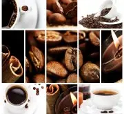 咖啡中所含的各种酸性物质分析 咖啡基础常识