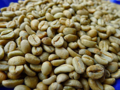 埃塞俄比亚咖啡豆品级分析 埃塞俄比亚咖啡豆分为五级