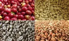 埃塞俄比亚咖啡的豆相与分级 咖啡豆是怎样分级的？