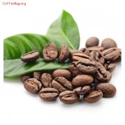 咖啡豆怎样保存？ 烘焙好豆子应该怎样保存？