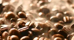 专利技术增加焙炒咖啡豆中的多酚类物质含量