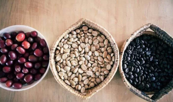 如何成为一颗精品咖啡豆 什么豆子是精品咖啡豆？