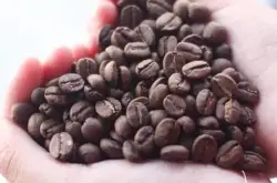 咖啡豆烘焙从生豆到熟豆变化 如何判断会问点转黄点一爆点二爆点