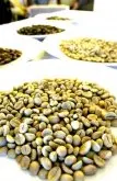 咖啡豆介绍 默拉皮火山造就优质咖啡
