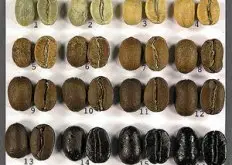 很牛的咖啡豆烘培图解 咖啡豆烘焙过程颜色的变化