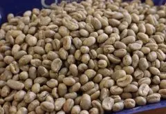 埃塞俄比亚咖啡豆的等级制度 咖啡豆常识 埃塞咖啡的历史故事