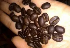 黄金曼特宁咖啡豆就一定是不太酸的吗？