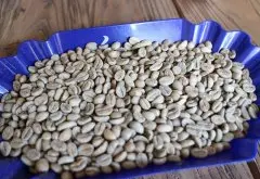 咖啡银皮对风味的影响 咖啡豆银皮问题