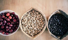 中国哪里适合种植咖啡 中国哪里种有咖啡豆？