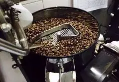 罗布斯塔 世界上最主要的咖啡树品种之一