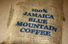 你了解蓝山咖啡吗？ 什么是蓝山咖啡？ 蓝山咖啡有什么特点？ 蓝