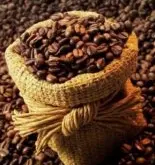 咖啡小知识：咖啡三原种 咖啡分为哪几种？ 什么咖啡质量好？ 怎