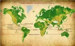 主要产国及其著名的咖啡豆产地 什么地方出产咖啡？ 咖啡哪里才正