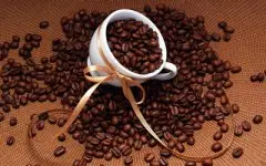 世界各国的咖啡豆，你都听过么 有什么优质咖啡豆？ 咖啡豆哪种好