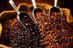 干货  咖啡的种类 咖啡豆的介绍 十六种不同产地咖啡豆