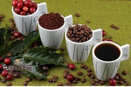 阿拉比卡豆 阿拉比卡豆的种类 阿拉比卡豆的分类  咖啡豆阿拉比卡
