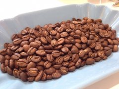 不同产区的单品咖啡的分布地点与种类 精品咖啡豆 各地咖啡有什么