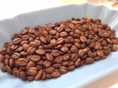 精品咖啡豆 夏威夷科纳咖啡豆 种类产地种植历史特点介绍