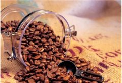 精波多黎各精品咖啡豆介绍 波多黎各咖啡口感 波多黎各咖啡的特点