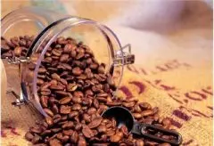 5类咖啡的特点介绍：哥斯达黎加咖啡 安哥拉咖啡 衣索匹亚咖啡 牙