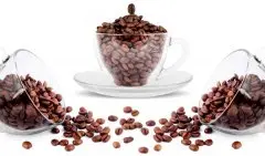 咖啡豆介绍 小圆豆 咖啡豆的特点 咖啡豆的采摘 咖啡豆是什么？