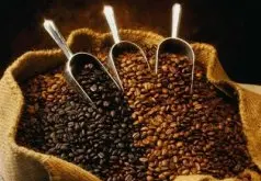 拼配咖啡豆 精品咖啡豆 咖啡豆的介绍 不同的咖啡豆的区别 不同咖