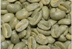 蓝山精品咖啡豆 蓝山精品咖啡介绍 蓝山精品咖啡的独特之处 蓝山