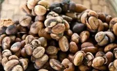 危地马拉精品咖啡的介绍 危地马拉精品咖啡独特风味 危地马拉精品