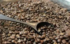 云南BM种（蓝山种）精品咖啡生豆 云南精品咖啡庄园 最顶级的云南