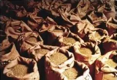 危地马拉咖啡豆分级 危地马拉精品咖啡种类 危地马拉咖啡特点故事