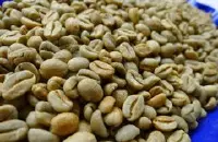洪都拉斯精品咖啡豆介绍 洪都拉斯咖啡特点风味 洪都拉斯咖啡口感