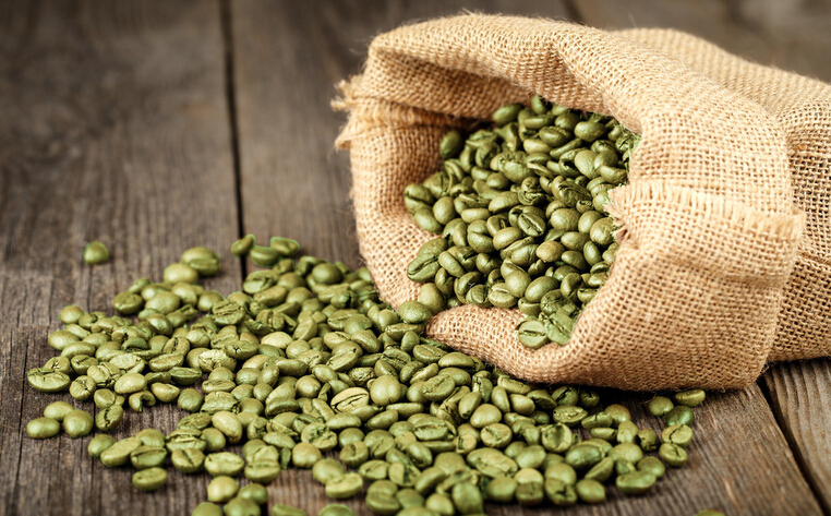 咖啡树种植  生豆咖啡的果实  咖啡豆的分类 生豆的分类