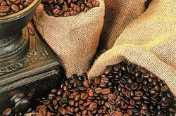 蓝山咖啡 牙买加蓝山咖啡豆出口 蓝山风味咖啡出口 蓝山咖啡出口