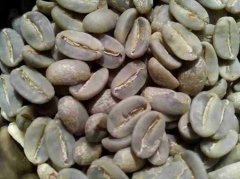 精品咖啡,台湾水晶矿咖啡介绍 台湾咖啡的历史 台湾咖啡的独特风