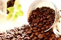 也门咖啡介绍——摩卡咖啡 精品咖啡 摩卡口感 摩卡特点 什么是摩