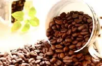 牙买加精品咖啡介绍 高山咖啡 蓝山咖啡 蓝山咖啡的口感 蓝山咖啡