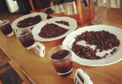 精品咖啡豆介绍——夏威夷可娜咖啡 可娜咖啡的口感 可娜咖啡特点