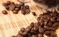 精品咖啡豆介绍——阿拉比卡咖啡豆 什么是阿拉比卡咖啡豆？　阿
