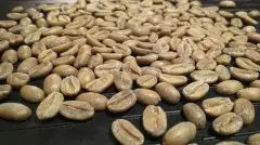 咖啡新品豆介绍——哥斯达黎加精品咖啡 哥斯达黎加咖啡特点 哥斯