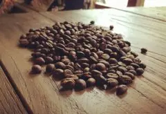 尼加拉瓜咖啡介绍 尼加拉瓜咖啡豆风味特点故事 尼加拉瓜咖啡来源