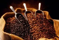 非洲产区介绍——埃塞俄比亚精品咖啡 摩卡哈拉 耶加雪啡 摩卡咖