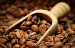 精品咖啡豆介绍——危地马拉精品咖啡豆 危地马拉咖啡种植 危地马