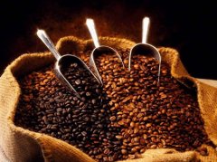 精品咖啡豆知识 巴西波旁山度士咖啡介绍 波旁山咖啡种植 波旁山