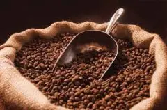 精品咖啡豆推荐 哥伦比亚咖啡种植环境 哥伦比亚咖啡品质 哥伦比